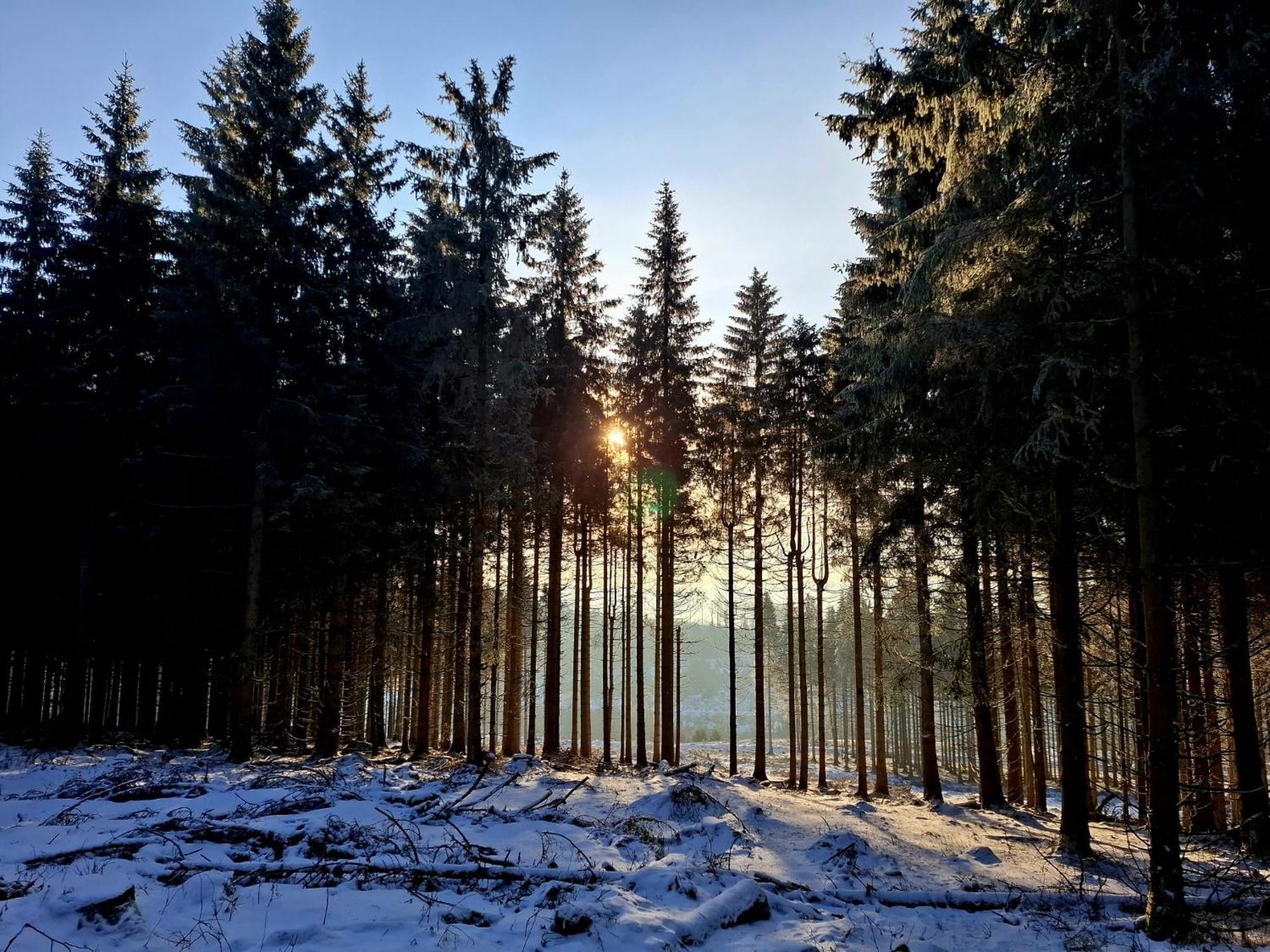 Haus Astenberg Winterberg Eksteriør bilde