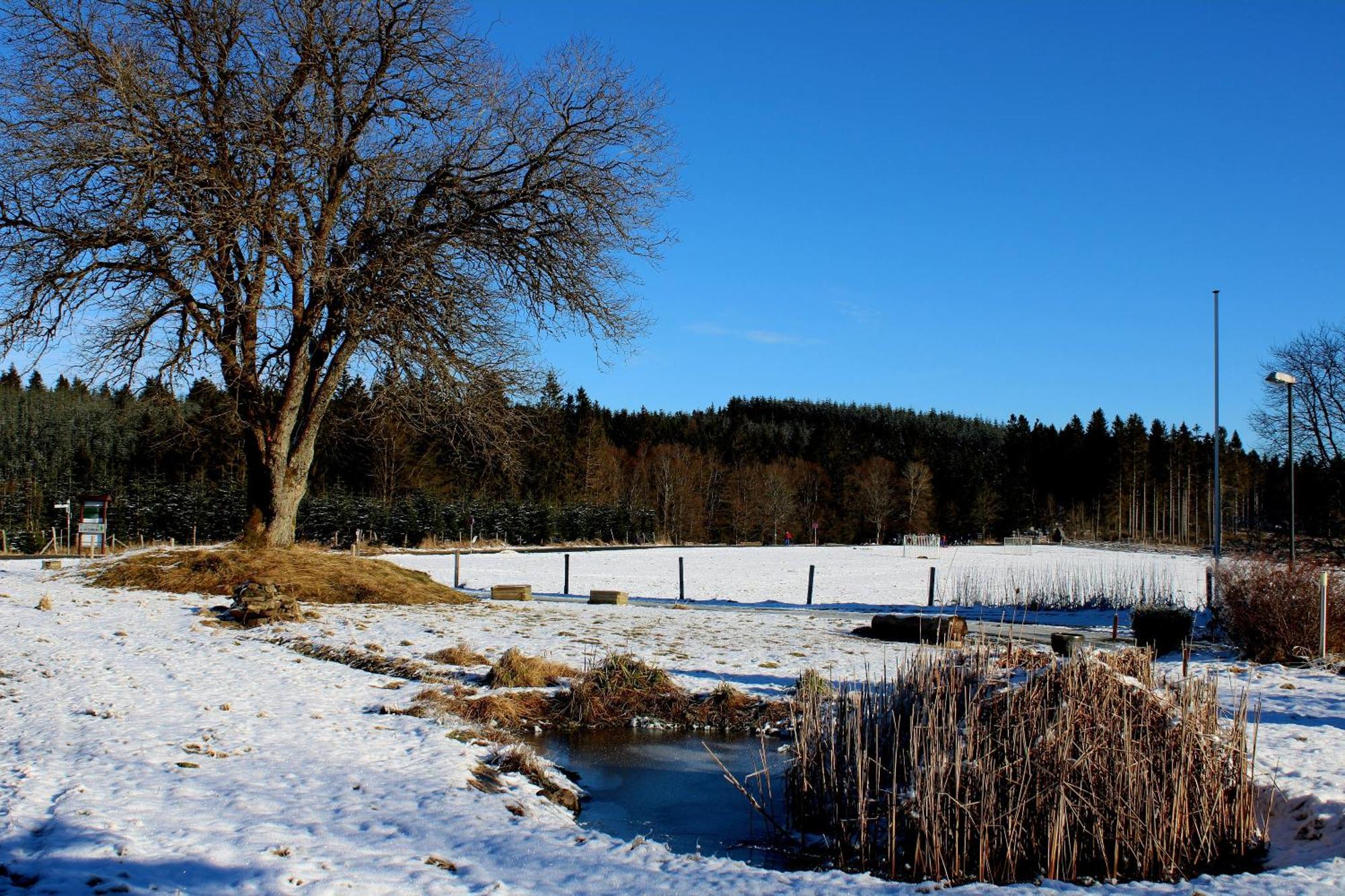 Haus Astenberg Winterberg Eksteriør bilde